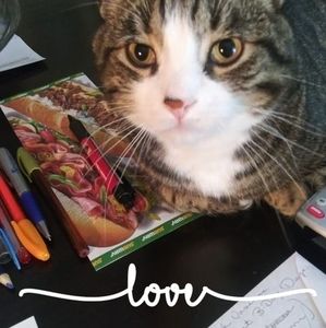 Meet your Posher, Sandy